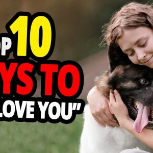 🐕 how to tell a dog you love them? top 10 ways to tell your dog you love them!