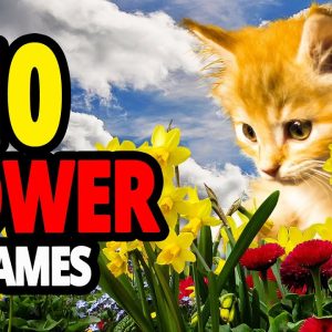 🐈 flower cat name ideas 2022 🌷 top 10 flower cat names for male and female!